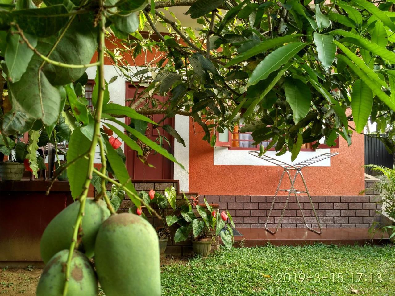 Nilas Guesthouse Hikkaduwa Exteriér fotografie