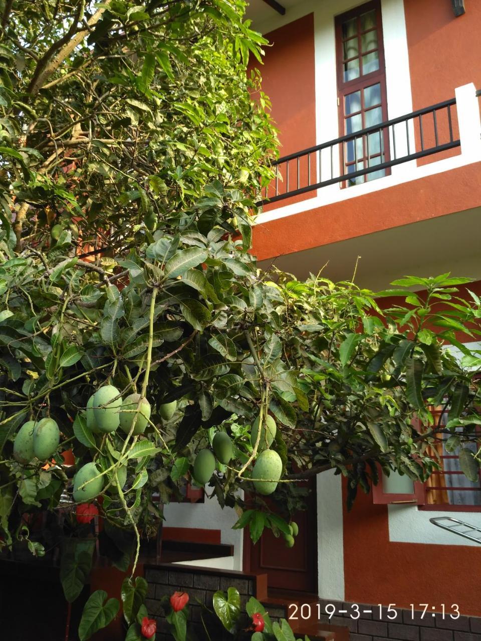 Nilas Guesthouse Hikkaduwa Exteriér fotografie